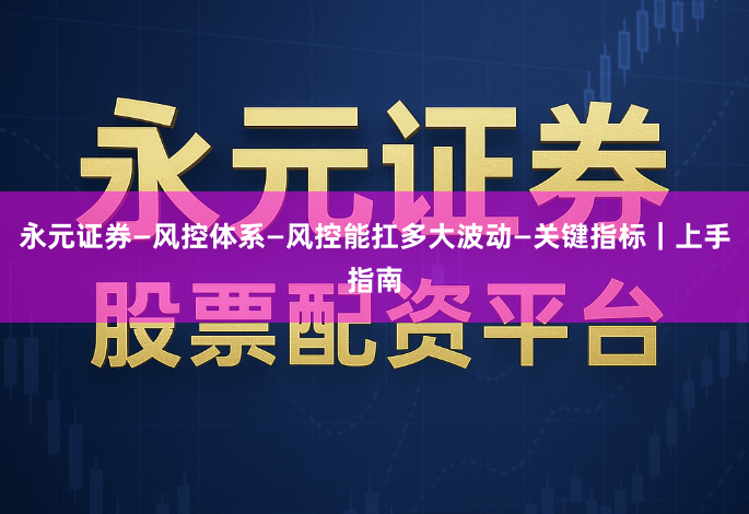 永元证券—风控体系—风控能扛多大波动—关键指标｜上手指南